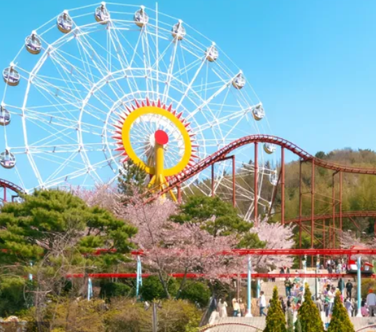 金海伽倻主題公園+五彩星光庭園