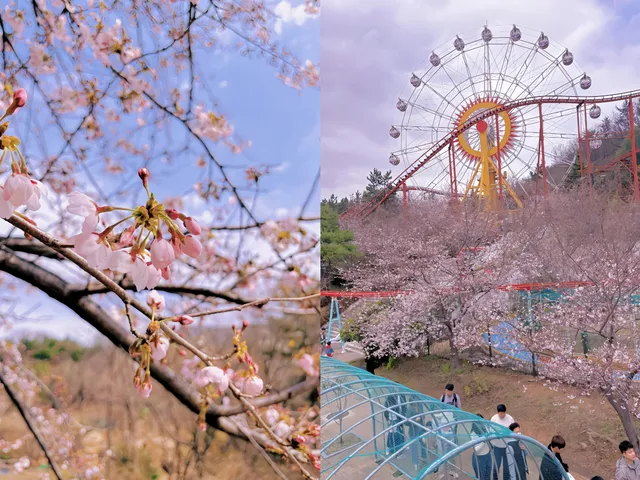 金海伽倻主題公園+五彩星光庭園
