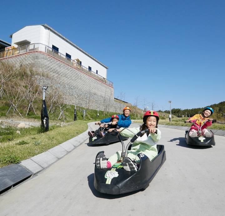 LUGE滑車