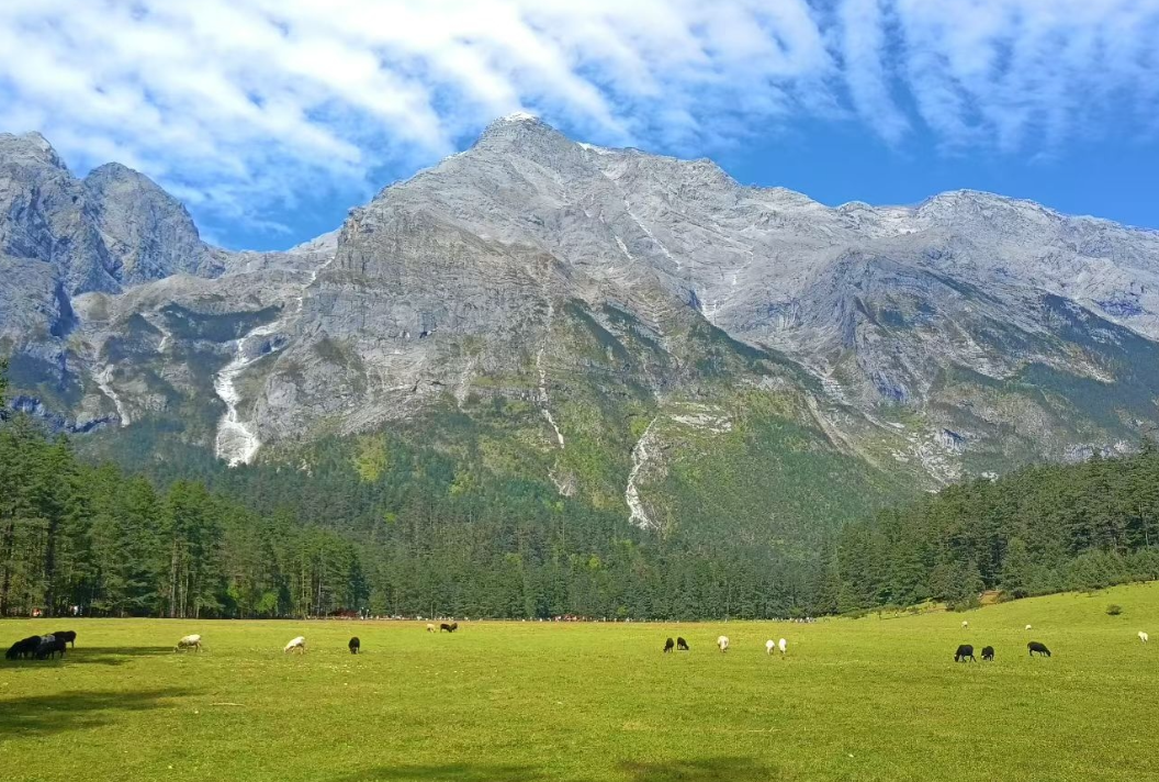 雲杉坪索道