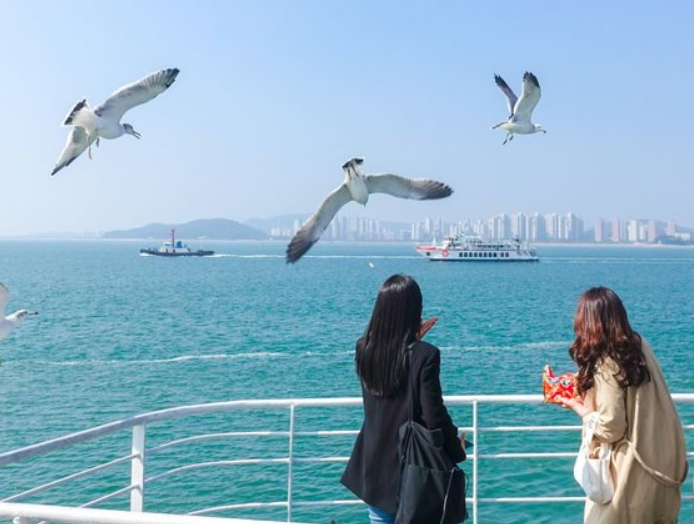 永宗島海鷗船