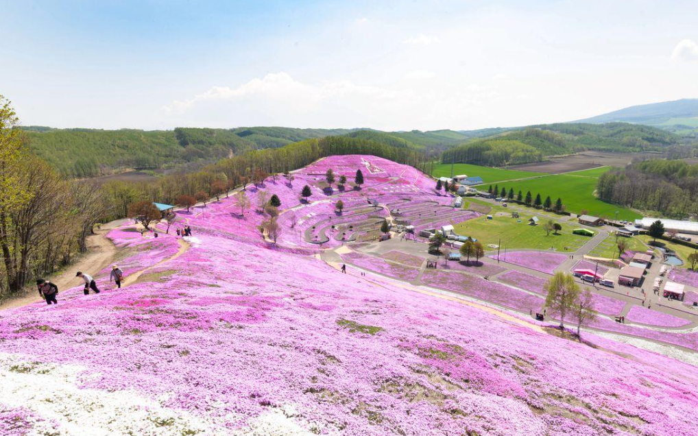 東藻琴村
