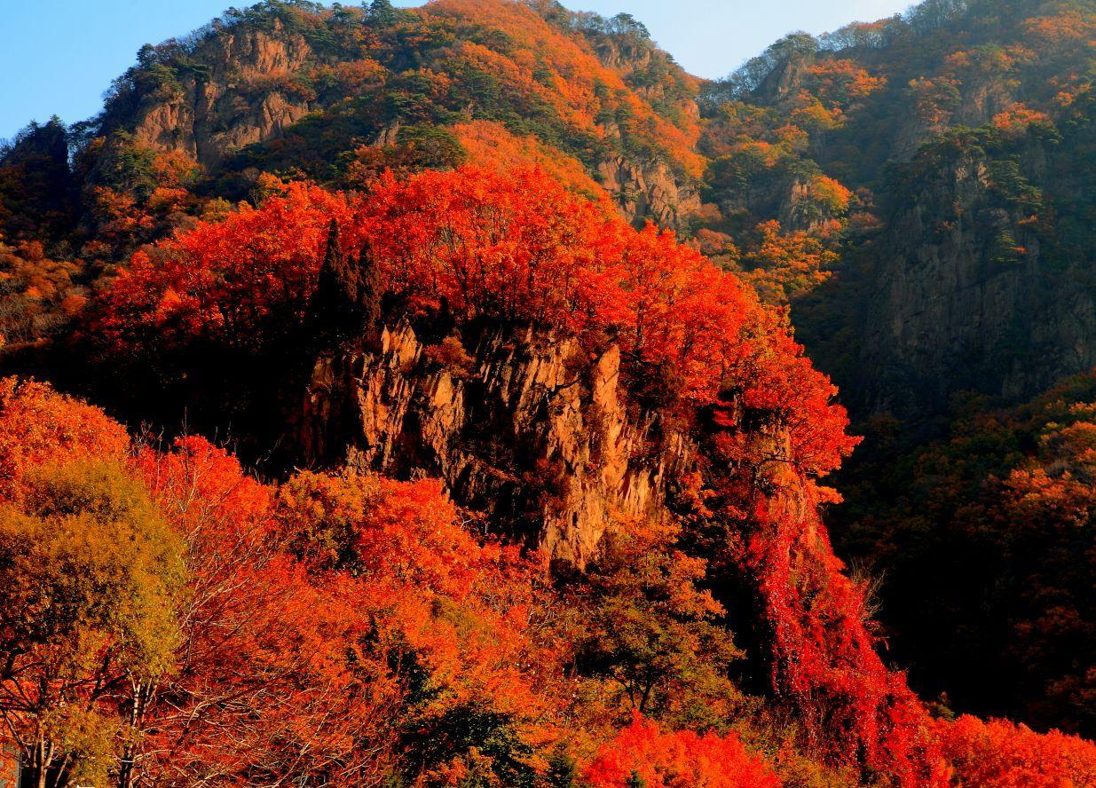 青島｜八大關