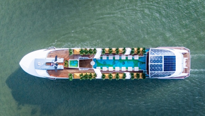 潮奢盛世海豚郵輪 Dolphin Day Cruise